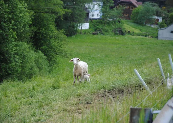 Landgasthof Seyrlberg