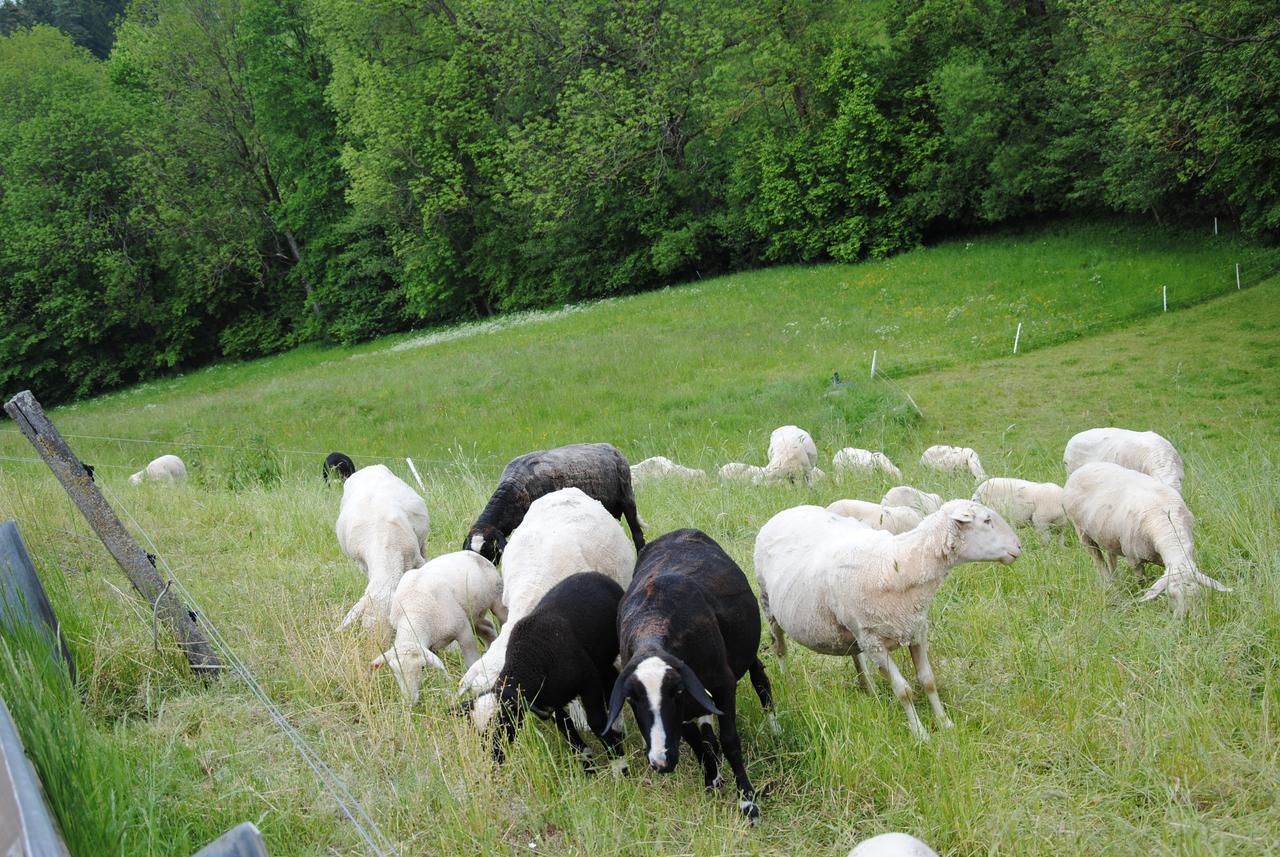 Landgasthof Seyrlberg Herberg Reichenau im Mühlkreis