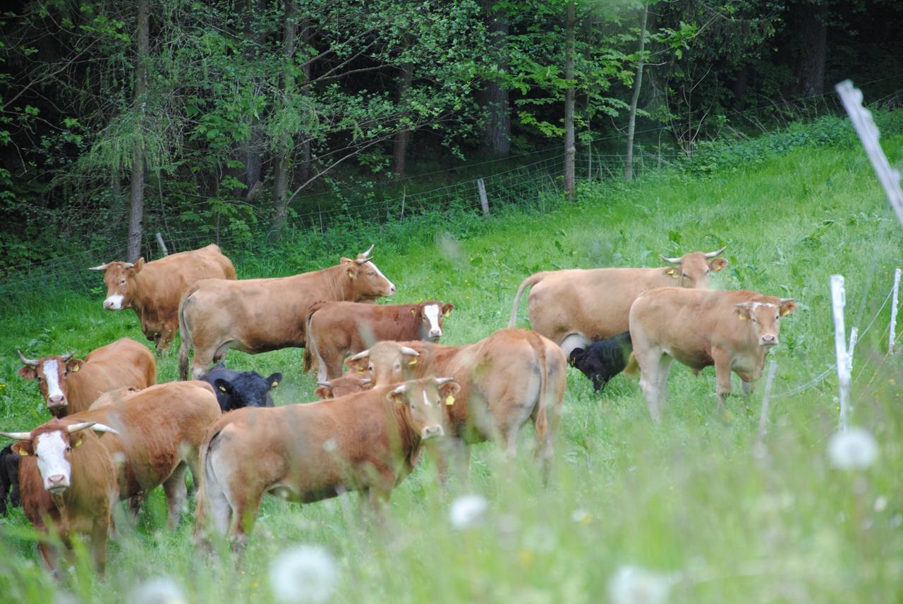 Herberg Landgasthof Seyrlberg Reichenau im Mühlkreis