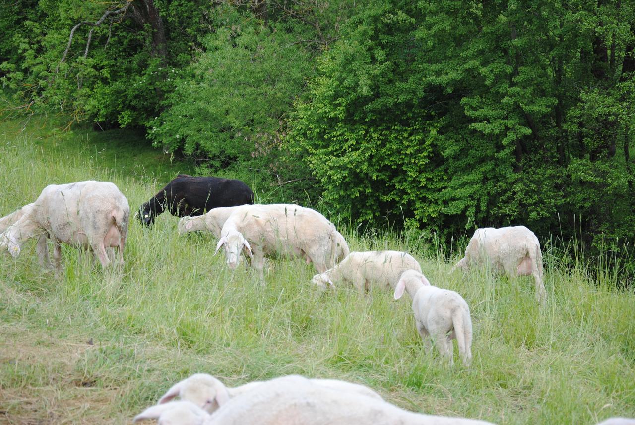 Landgasthof Seyrlberg 3* Reichenau im Muhlkreis